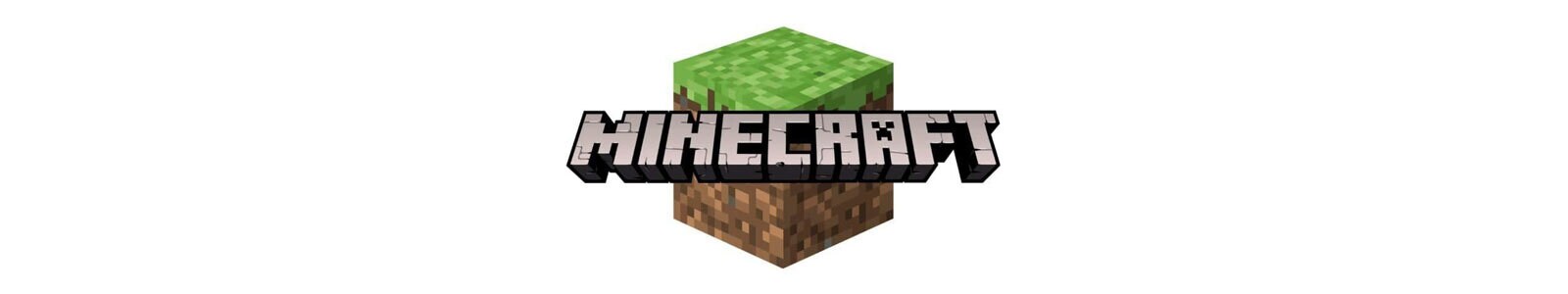 Minecraft Versiering