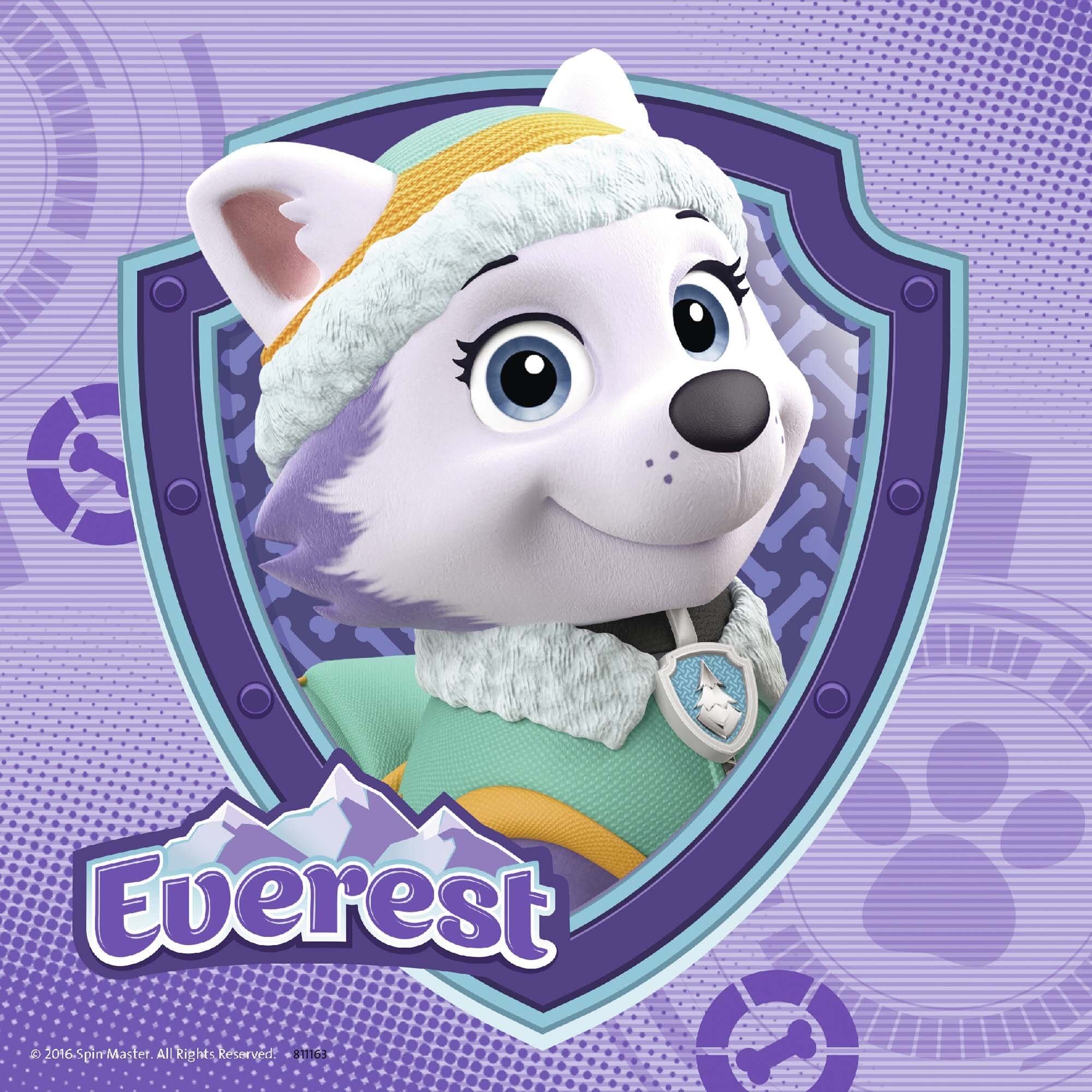 Ravensburger Puzzel - Paw Patrol - Skye & Everest 3x49 stukjes