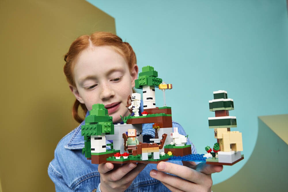 LEGO Minecraft - Het avontuur van de eerste nacht 8+