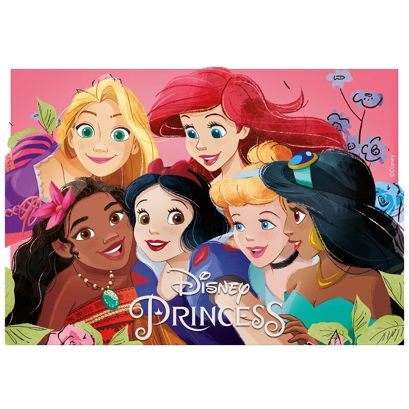 Taartprint Disney Prinsessen - Fondant 15 x 21 cm