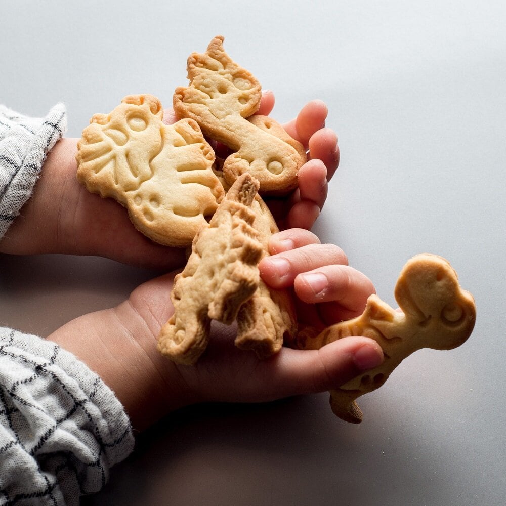 Dinosaurus uitsteekvormpjes 2 stuks