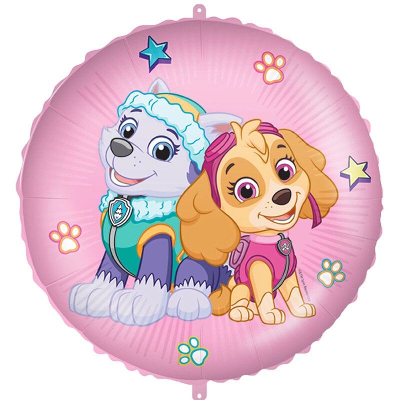 Paw Patrol Skye - Folieballon met ballongewicht