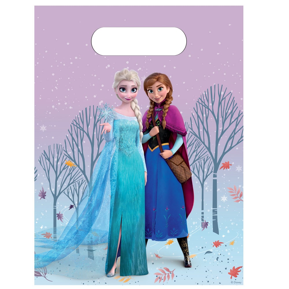 Disney Frozen Uitdeelzakjes 6 stuks