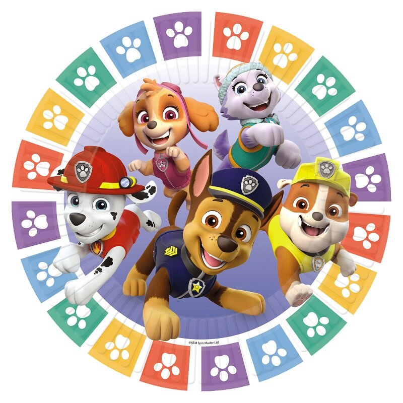 Paw Patrol Party - Bordjes 8 stuks