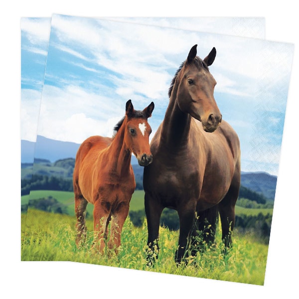 Horse and Pony - Servetten 16 stuks