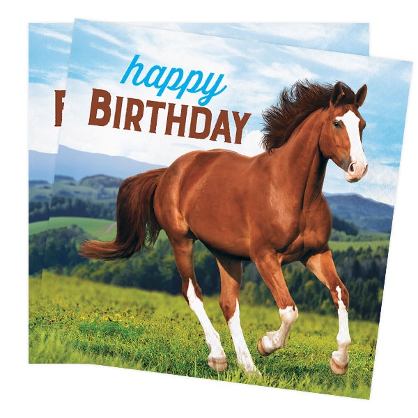 Horse and Pony - Servetten Happy Birthday 16 stuks