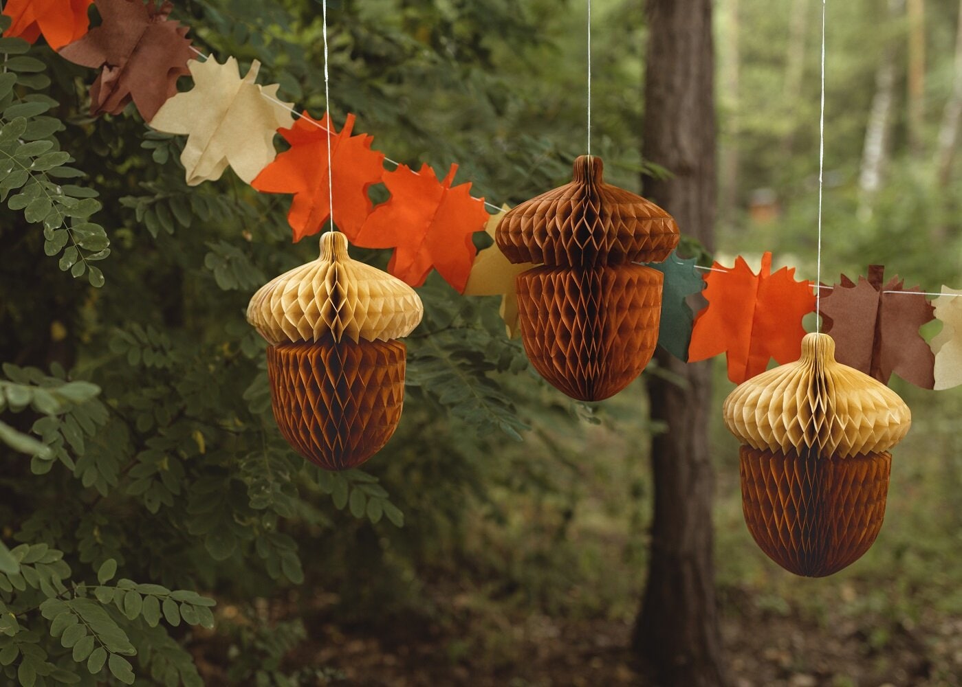 Eikel Honeycombdecoraties 2 stuks