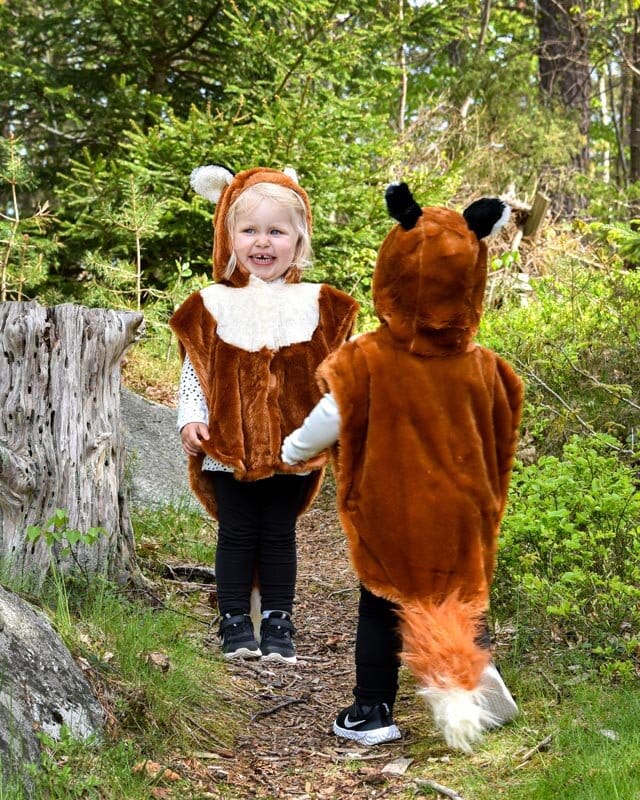 Vos Baby Cape Kostuum 1-4 jaar