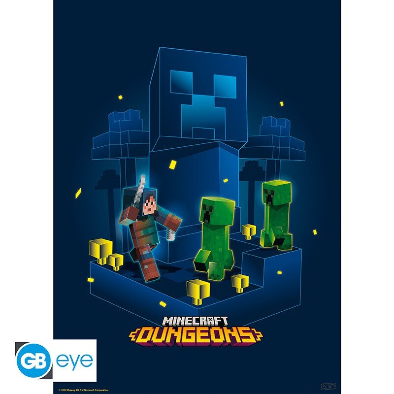 Posters - Minecraft Dungeons 2 stuks