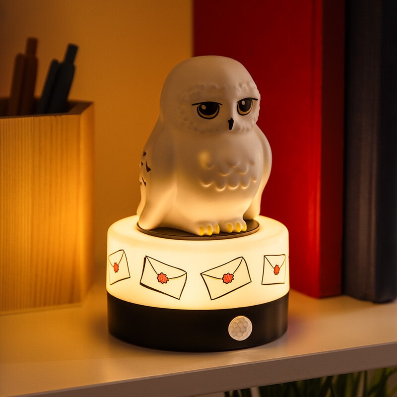 Harry Potter Hedwig Room Guard