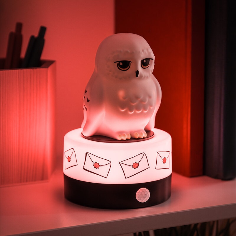 Harry Potter Hedwig Room Guard