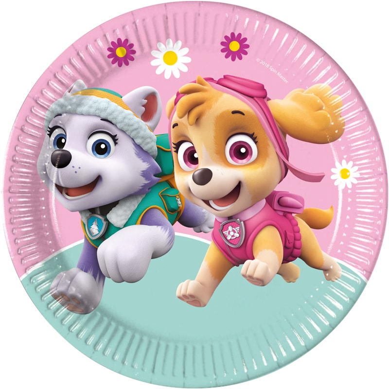 Paw Patrol Skye & Everest - Bordjes 8 stuks