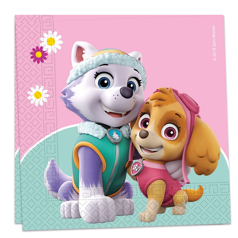 Paw Patrol Skye & Everest - Servetten 20 stuks