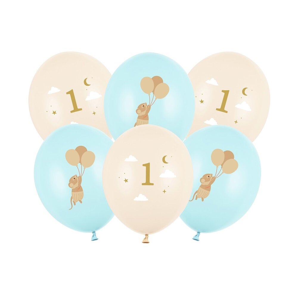 Blauwe Muis Ballonmix 1 jaar 6 stuks