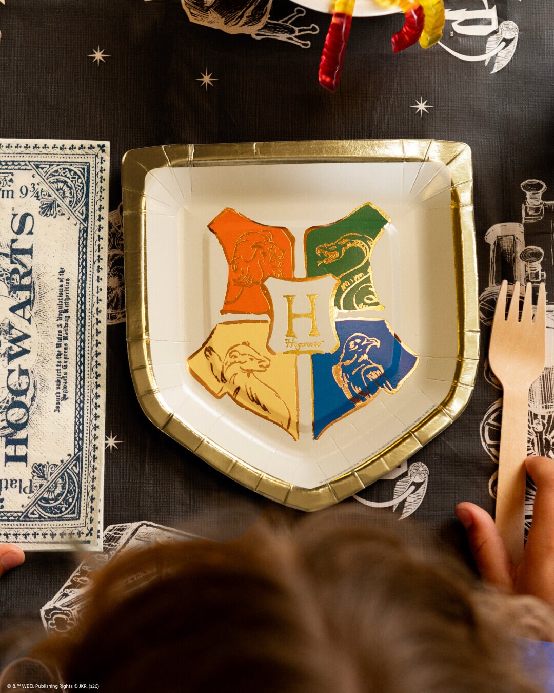 Harry Potter Hogwarts Bordjes 6 stuks